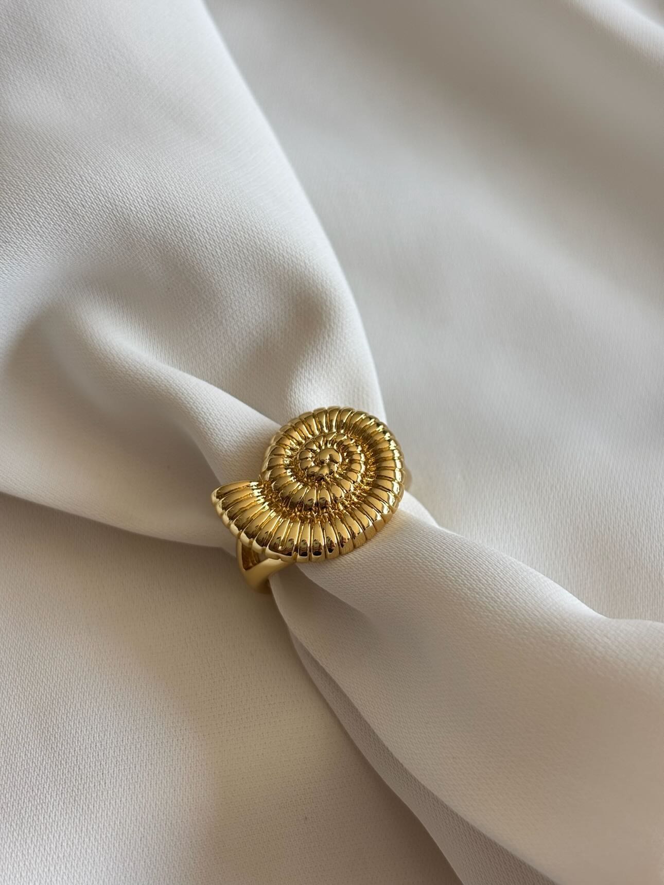 ANILLO CARACOL